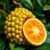 Ugli fruit – zdrowy owoc z Jamajki pełen wartości odżywczych