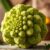 Kalafior romanesco – zdrowe warzywo pełne witamin i właściwości